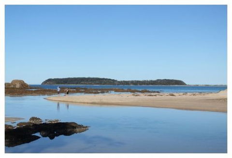 Mossy Point Holiday Rentals - Sunshine Coast Guide 0