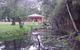 Kangaroo Gully Cottage - thumb 0