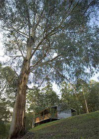 Ada VIC Sunshine Coast Guide