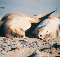 Highgate Farmhouse - Sunshine Coast Guide