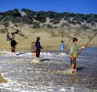 Flippers Beachouse - Sunshine Coast Guide