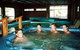 Allandale Wood Chalets - thumb 0