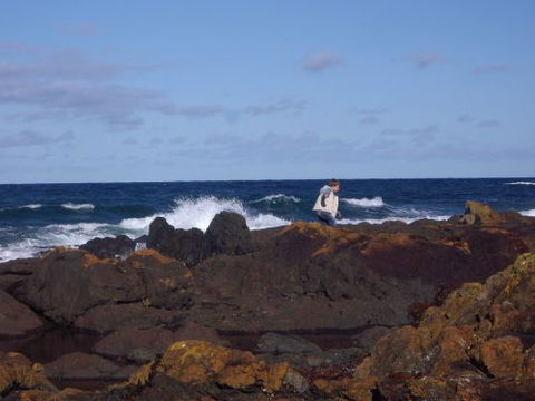 Walkerville South Accommodation - Sunshine Coast Guide 1