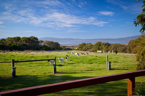 Coastal View Cabins - Sunshine Coast Guide 9