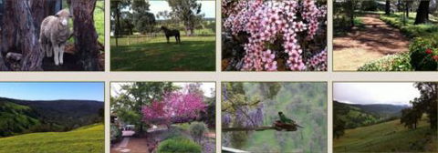 Moondyne Country Convention Centre - Sunshine Coast Guide 3