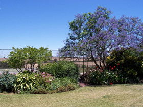 Chuckem Farm - Sunshine Coast Guide 0