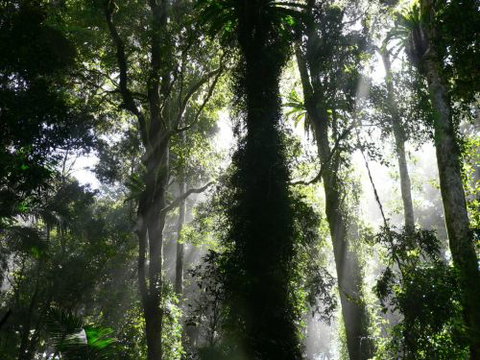 Alcheringa Holiday House - Sunshine Coast Guide 6