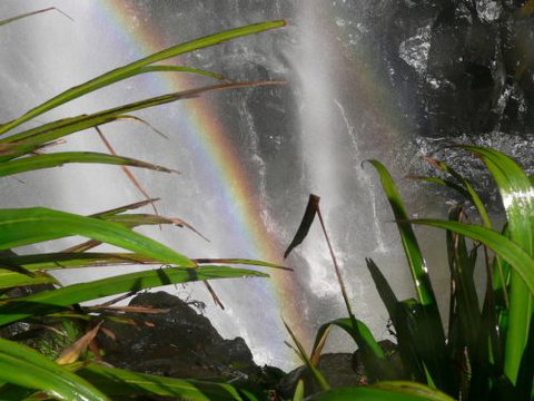 Alcheringa Holiday House - Sunshine Coast Guide 7