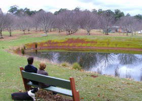 Chestnut Glade - Sunshine Coast Guide 0