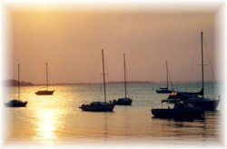 Apartment 8 Peninslua Waters - Sunshine Coast Guide 3