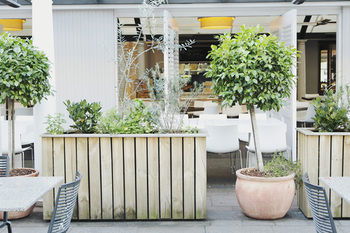 Coogee Bay Hotel - Boutique - Sunshine Coast Guide 73