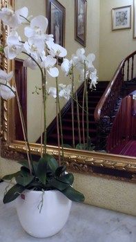 Claremont Guest House - Sunshine Coast Guide 9