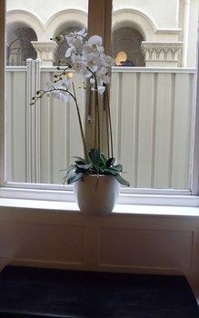 Claremont Guest House - Sunshine Coast Guide 10