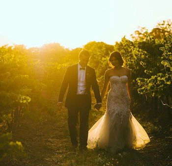 Estate Tuscany - Sunshine Coast Guide 17