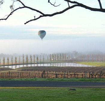 Estate Tuscany - Sunshine Coast Guide 20