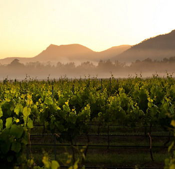 Estate Tuscany - Sunshine Coast Guide 21