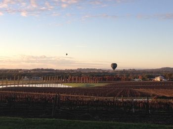 Estate Tuscany - Sunshine Coast Guide 26