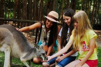 Pacific Horizons Resort - Sunshine Coast Guide 23