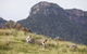 Emirates One&Only Wolgan Valley Australia - thumb 26