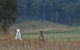 Emirates One&Only Wolgan Valley Australia - thumb 31