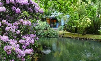 Cottages At Monreale - Sunshine Coast Guide 7
