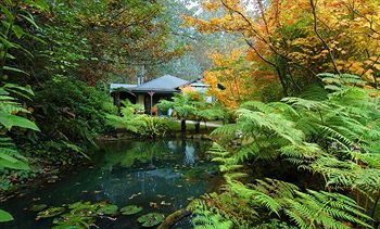 Cottages At Monreale - Sunshine Coast Guide 12
