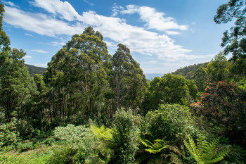 A Camelot Tower & Penthouse - Sunshine Coast Guide 46
