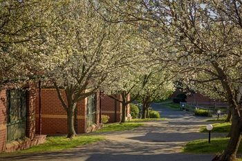 Apartments @ Mt Waverley - Sunshine Coast Guide 8