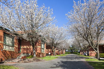 Apartments @ Mt Waverley - Sunshine Coast Guide 26