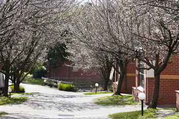 Apartments @ Mt Waverley - Sunshine Coast Guide 27