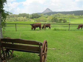 Blackwattle Farm B&B And Farm Stay - Sunshine Coast Guide 1