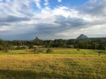 Blackwattle Farm B&B And Farm Stay - Sunshine Coast Guide 3