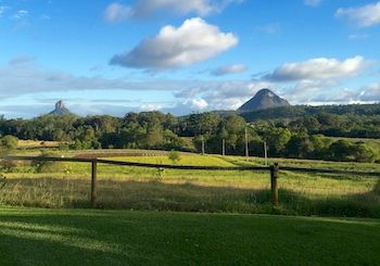 Blackwattle Farm B&B And Farm Stay - Sunshine Coast Guide 7