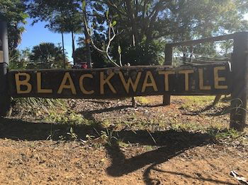 Blackwattle Farm B&B And Farm Stay - Sunshine Coast Guide 10