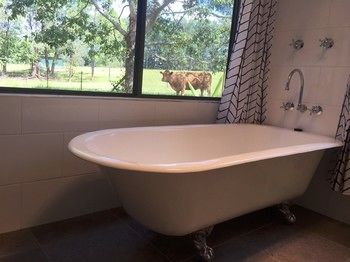 Blackwattle Farm B&B And Farm Stay - Sunshine Coast Guide 23