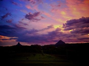 Blackwattle Farm B&B And Farm Stay - Sunshine Coast Guide 27
