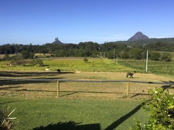 Blackwattle Farm B&B And Farm Stay - Sunshine Coast Guide 29
