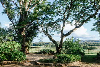 Blackwattle Farm B&B And Farm Stay - Sunshine Coast Guide 45