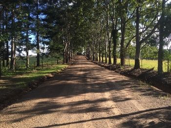 Blackwattle Farm B&B And Farm Stay - Sunshine Coast Guide 46