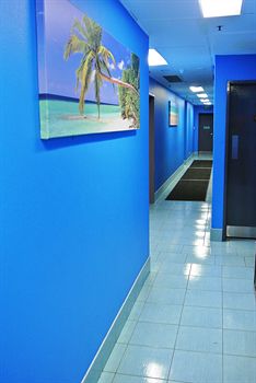 Jackaroo Hostel Sydney - Sunshine Coast Guide 10
