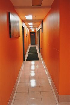 Jackaroo Hostel Sydney - Sunshine Coast Guide 13