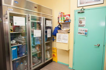 Eva's Backpackers - Sunshine Coast Guide 46