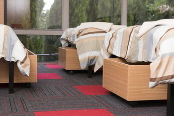 Sydney Student Living - Hostel - Sunshine Coast Guide 10