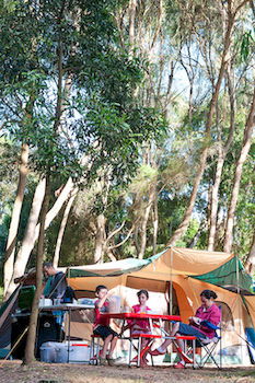 BIG4 Yarra Valley Holiday Park - Sunshine Coast Guide 8