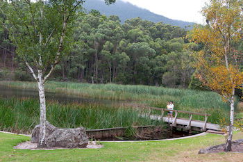 BIG4 Yarra Valley Holiday Park - Sunshine Coast Guide 12