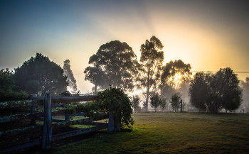 Elfin Hill Country Accommodation - Sunshine Coast Guide 10