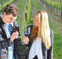 Valley Farm Vineyard Cottages - Sunshine Coast Guide