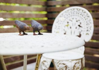 Strathvea Guest House - Sunshine Coast Guide 19