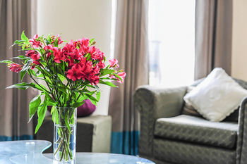 Anchor On Flinders Prime - Sunshine Coast Guide 20