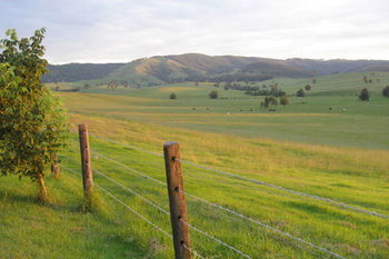 The Wattle Lodge - Sunshine Coast Guide 21